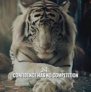 Meet your Posher, Jody